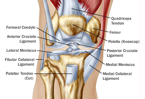 knee pain victoria BC