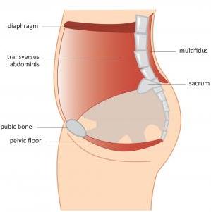 Pelvic Floor Victoria BC